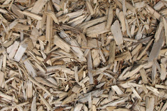 biomass boilers Lupridge