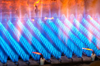 Lupridge gas fired boilers
